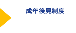 成年後見申立サポート